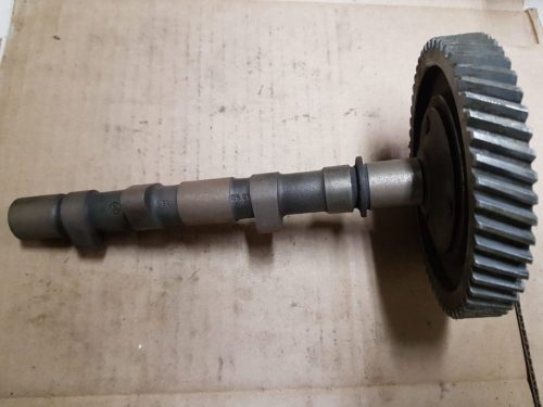 111109021 Camshaft with timing gear
