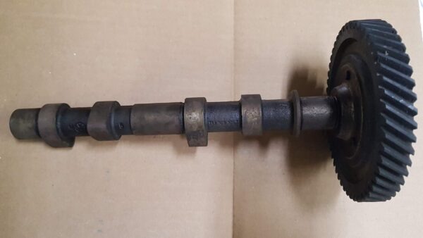 113109025D Camshaft with gear