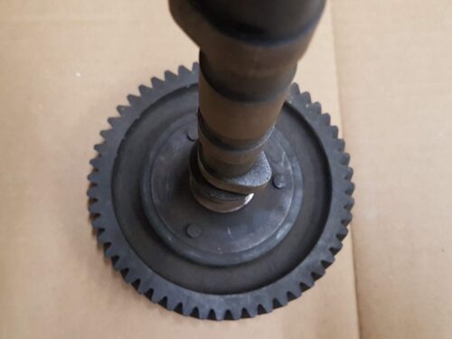 111109015 Camshaft with gear